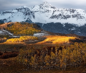 Drzewa, Lasy, Kolorado, Stany Zjednoczone, Góry Skaliste, Jesień