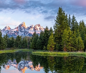 Park Narodowy Grand Teton, Stan Wyoming, Chmury, Stany Zjednoczone, Odbicie, Snake River, Góry Skaliste, Drzewa, Rzeka