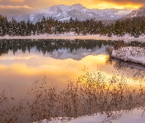 Góry, Drzewa, Zima, Gold Creek Pond, Stan Waszyngton, Staw, Stany Zjednoczone, Trawa