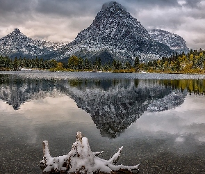 Jezioro, Montana, Drzewa, Stany Zjednoczone, Park Narodowy Glacier, Sinopah Mountain, Pray Lake, Góry, Góra