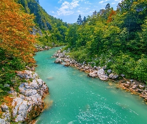 Drzewa, Jesień, Triglavski Park Narodowy, Słowenia, Rzeka Socza, Skały