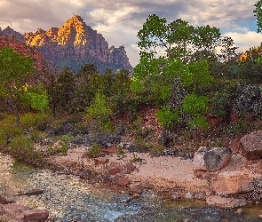 Rzeka, Drzewa, Góry, Virgin River, Utah, Rzeka, Stany Zjednoczone, Park Narodowy Zion