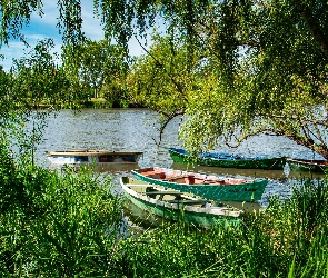 Brzeg, Drzewa, Łódki, Rzeka