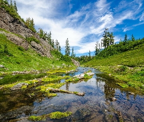 Rzeka, Kamienie, Trawa, Drzewa, Góry