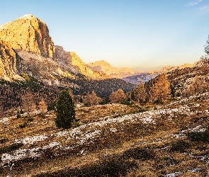 Prowincja Belluno, Dolomity, Włochy, Góry Tofany, Drzewa, Gmina Cortina dAmpezzo, Zachód słońca, Las