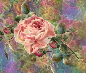 Róże, Grafika 2D, Liście, Pąki, Kwiaty