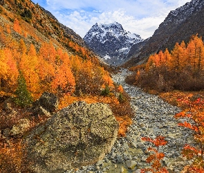 Jesień, Arolla, Drzewa, Szwajcaria, Kamienie, Żółte, Góry Pennińskie, Góra, Mont Collon