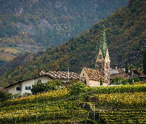 Włochy, Gmina Bolzano, Drzewa, Kościół, Las, Winnice