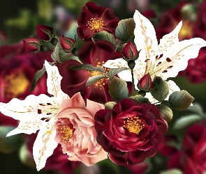 2D, Lilie, Kwiaty, Róże