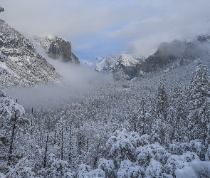 Stany Zjednoczone, Park Narodowy Yosemite, Yosemite Valley, Kalifornia, Drzewa, Góry, Lasy, Mgła, Zima, Golina