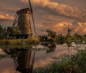 Holandia, Kinderdijk, Rzeka, Wiatraki, Kanał, Rośliny