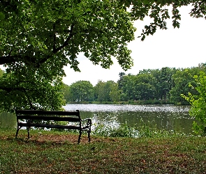 Park, Drzewo, Staw, Ławka