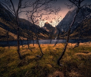 Senja, Drzewa, Jezioro, Góry, Norwegia