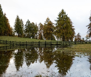 Wzgórze, Drzewa, Ogrodzenie, Mokradła