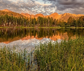Drzewa, Spraque Lake, Kolorado, Wschód słońca, Jezioro, Stany Zjednoczone, Park Narodowy Gór Skalistych