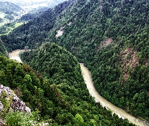 Pieniński Przełom Dunajca, Rzeka Dunajec, Lasy, Polska, Skały, Góry Pieniny, Drzewa