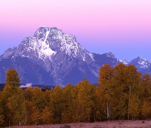Las, Góry