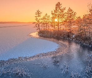 Zima, Drzewa, Karelia, Wschód słońca, Ładoga, Rosja, Jezioro
