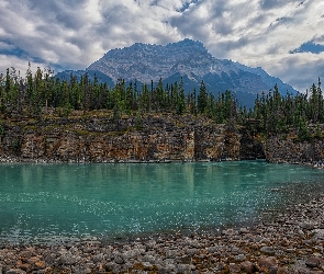 Kanada, Prowincja Alberta, Góry, Park Narodowy Jasper, Drzewa, Rzeka Athabasca