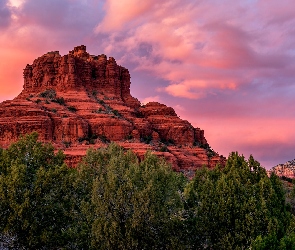 Chmury, Bell Rock, Arizona, Drzewa, Skały, Stany Zjednoczone, Sedona