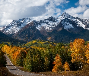 Chmury, Droga, Las, Drzewa, Mount Wilson, Kolorado, San Juan Mountains, Jesień, Stany Zjednoczone, Góry