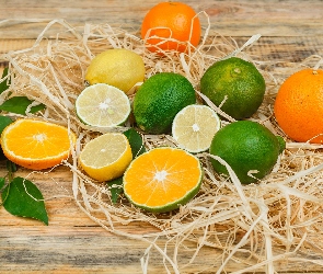 Cytryny, Deski, Limonki, Pomarańcze, Owoce