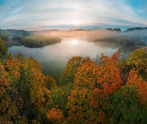 Las, Mgła, Jesień, Drzewa, Jezioro