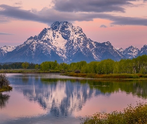 Poranek, Stan Wyoming, Drzewa, Stany Zjednoczone, Park Narodowy Grand Teton, Snake River, Góry, Teton Range, Rzeka