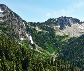 Skały, Dolina, Drzewa, Las, Góry