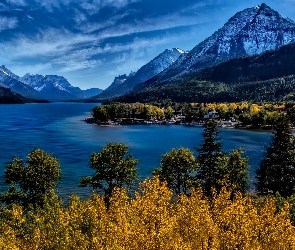 Alberta, Drzewa, Jezioro, Kanada, Góry Skaliste, Park Narodowy Waterton Lakes, Waterton Lake