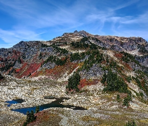 Stany Zjednoczone, Jezioro, Skagit Range, Góry, Góra Tomyhoi Peak, Drzewa