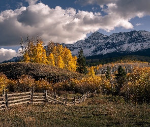 Jesień, Kolorado, San Juan Mountains, Stany Zjednoczone, Chmury, Góry, Pożółkłe, Drzewa, Ogrodzenie