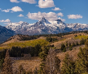 Wyoming, Wzgórza, Absaroka Range, Stany Zjednoczone, Drzewa, Góry, Szczyty