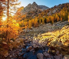 Promienie słońca, Gałęzie, Drzewa, Jesień, Kamienie, Góry, Stok