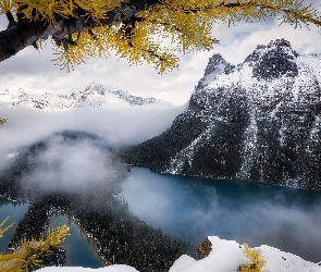 Góry, Park Narodowy Yoho, Mgła, Kanada, Chmury, Las, Canadian Rockies, Jezioro, OHara Lake