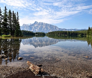 Park Narodowy Jasper, Maligne Lake, Kanada, Jezioro, Drzewa, Prowincja Alberta, Lasy, Góry