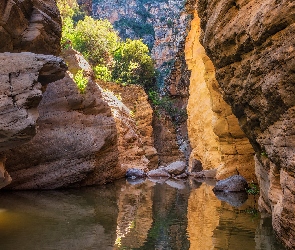 Arizona, Kanion, Rzeka, Stany Zjednoczone, Krzewy, Skały, West Clear Creek