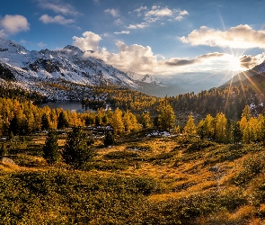 Promienie, Słońca, Jesień, Drzewa, Dolina, Szwajcaria, Góry, Valle di Campo, Roślinność, Alpy, Las