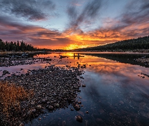 Kolorado, Brainard Lake, Drzewa, Stany Zjednoczone, Jezioro, Kamienie, Wschód słońca