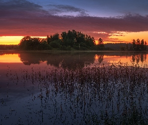 Trawa, Jezioro, Zachód słońca, Drzewa