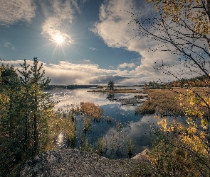 Karelia, Siegieża, Słońce, Rosja, Rzeka Siegieża, Drzewa, Jesień