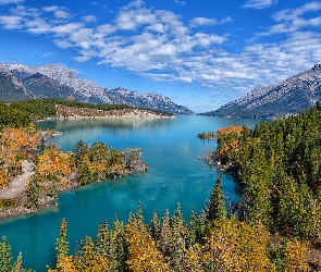 Canadian Rockies, Lasy, Góry Skaliste, Abraham Lake, Alberta, Jezioro, Kanada, Drzewa
