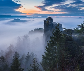 Mgła, Skały, Park Narodowy Saskiej Szwajcarii, Drzewa, Góry Połabskie, Niemcy, Wschód słońca