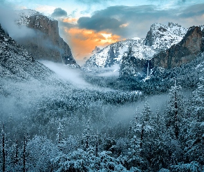 Mgła, Góry, Zima, Drzewa, Kalifornia, Śnieg, Stany Zjednoczone, Park Narodowy Yosemite
