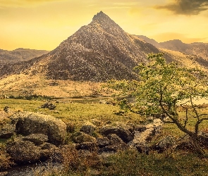 Walia, Ogwen Valley, Dolina, Park Narodowy Snowdonia, Drzewo, Góra Tryfan, Owca, Kamienie, Góry, Rzeka