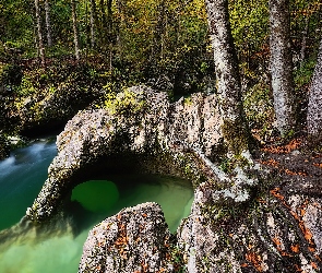 Drzewa, Rzeka, Kamienie, Skały, Las