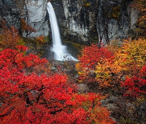 Chorrillo del Salto, Drzewa, Wodospad, Kolorowe, Prowincja Santa Cruz, Jesień, Argentyna, Skały