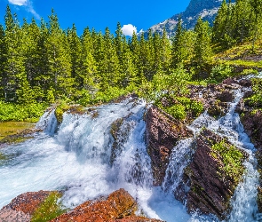 Drzewa, Rzeka, Stan Montana, Kamienie, Wodospad Redrock Falls, Stany Zjednoczone, Park Narodowy Glacier