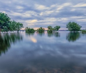 Chatfield Lake, Jezioro, Kolorado, Drzewa, Chatfield State Park, Stany Zjednoczone, Park stanowy