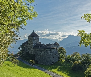Drzewa, Droga, Liechtenstein, Góry, Zamek w Vaduz, Księstwo, Vaduz